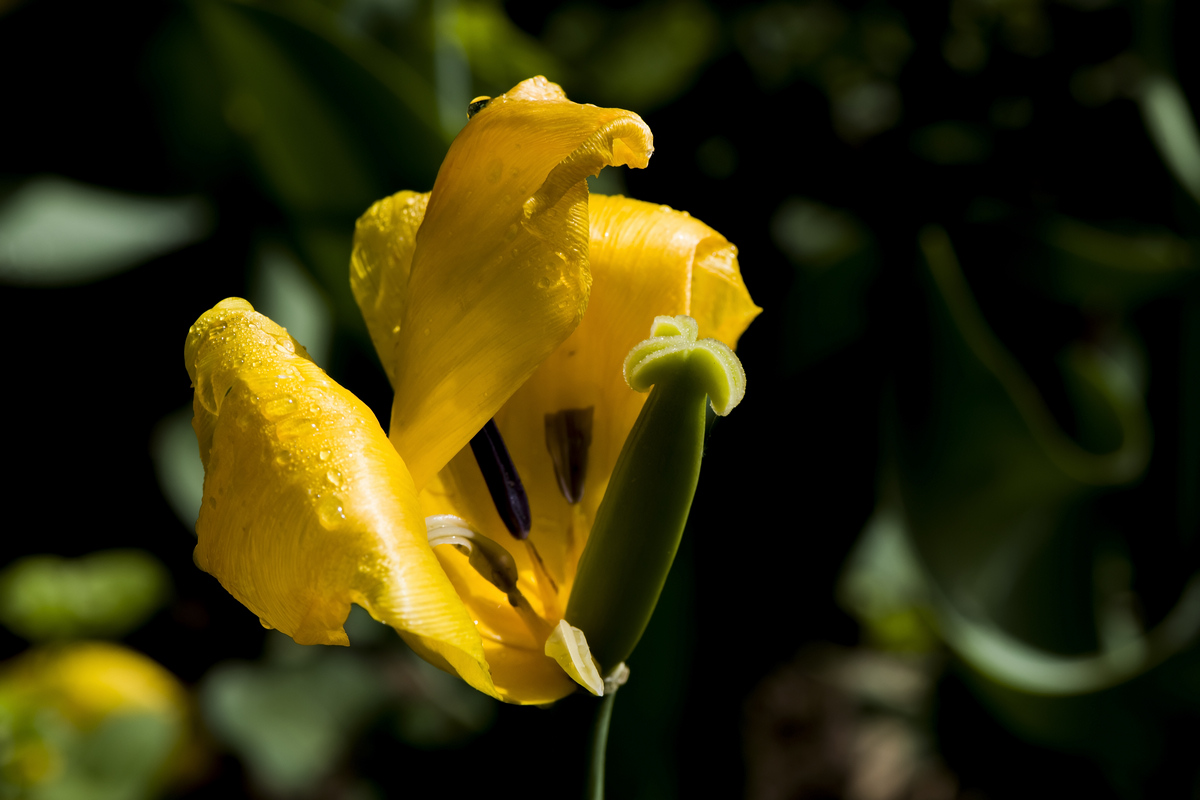 nEO_IMG_DSC_4951.jpg