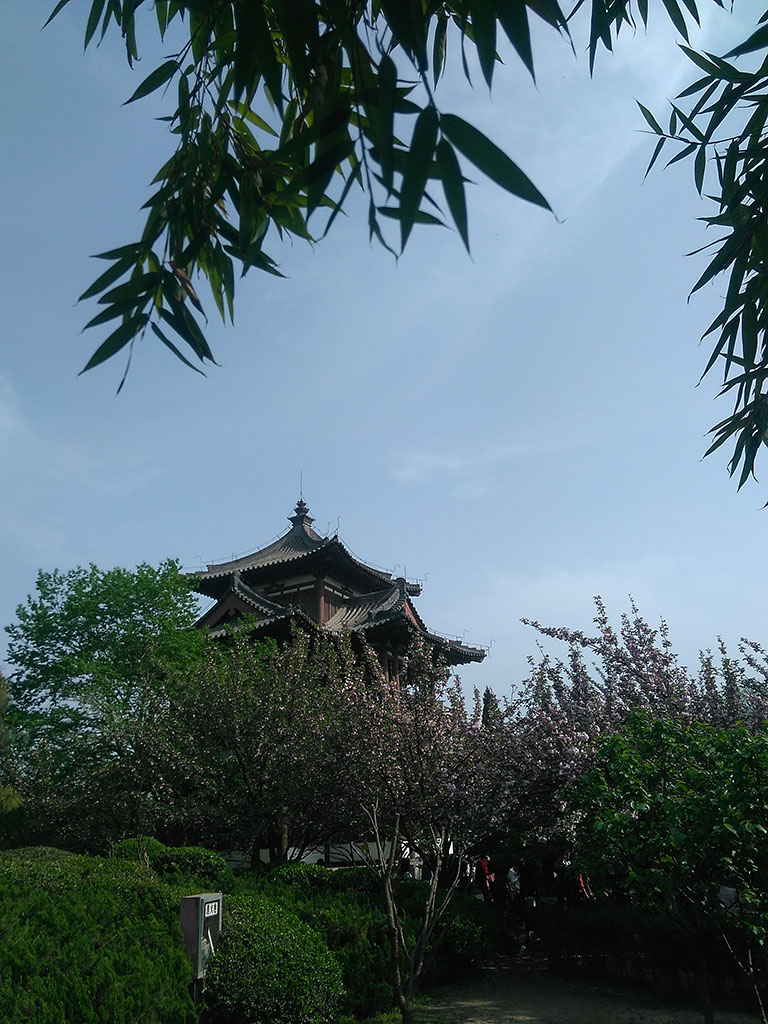 IMG_20160410_155902副本.jpg