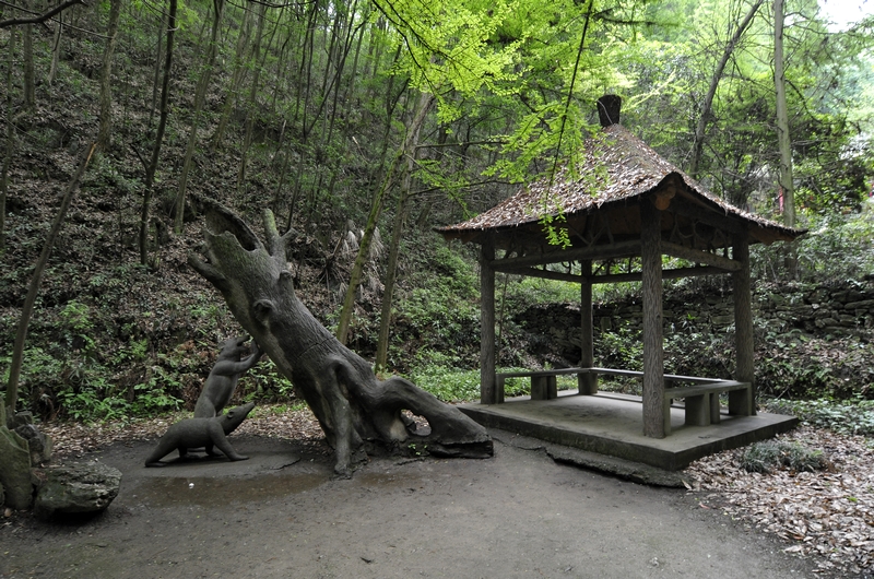 06.jpg