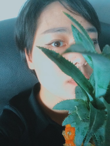 image.jpeg