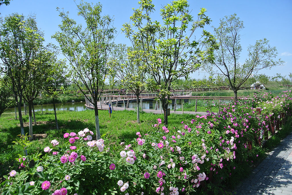 DSC_7334副本.jpg