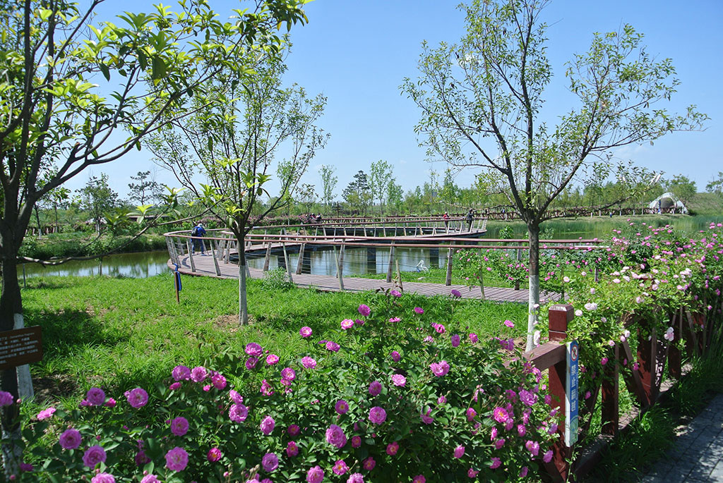 DSC_7335副本.jpg