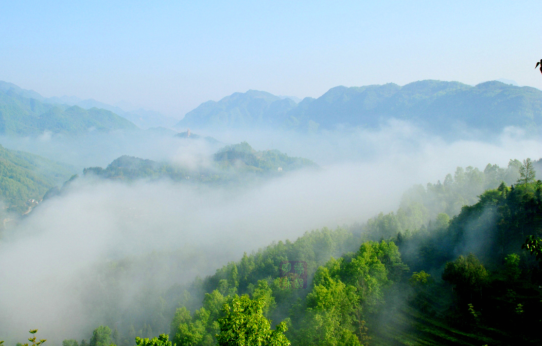 DSC_6738_副本_副本.JPG