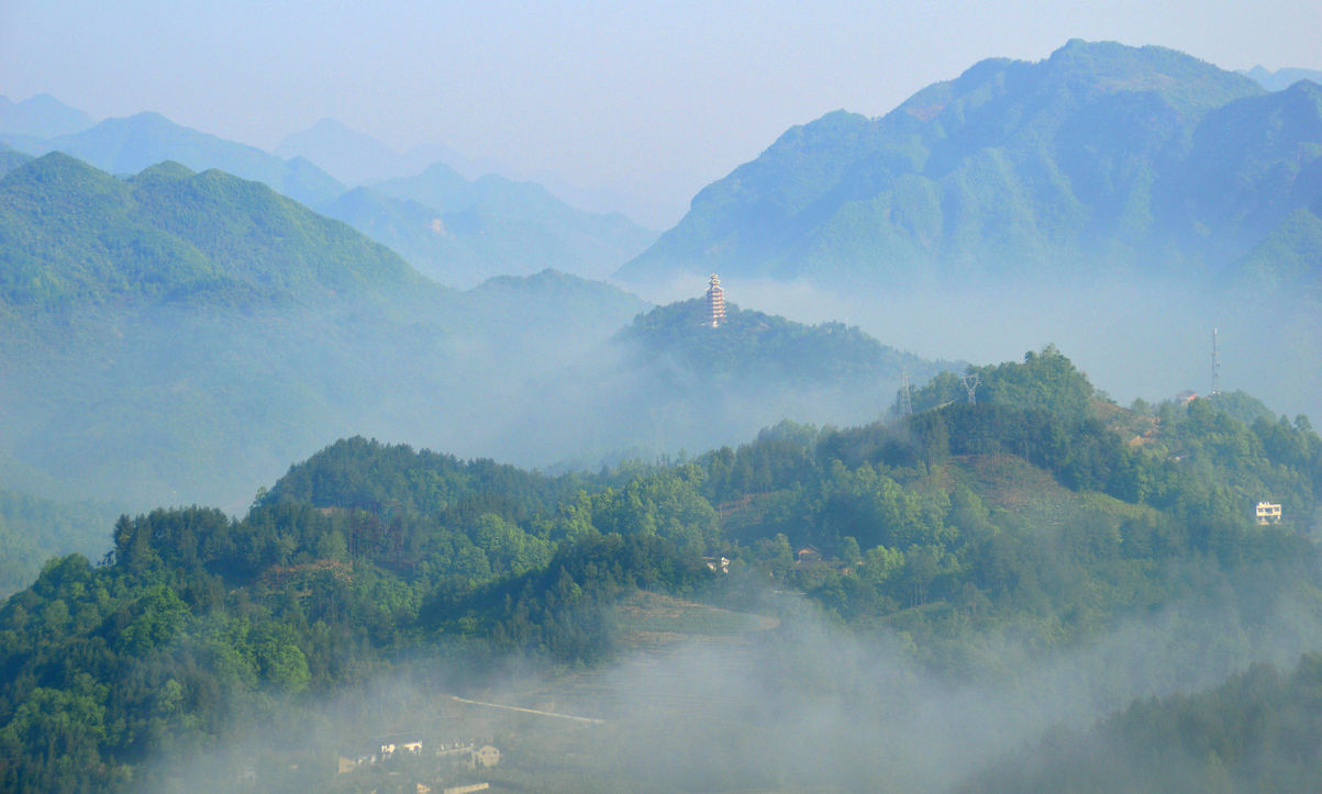 DSC_6744_副本.JPG