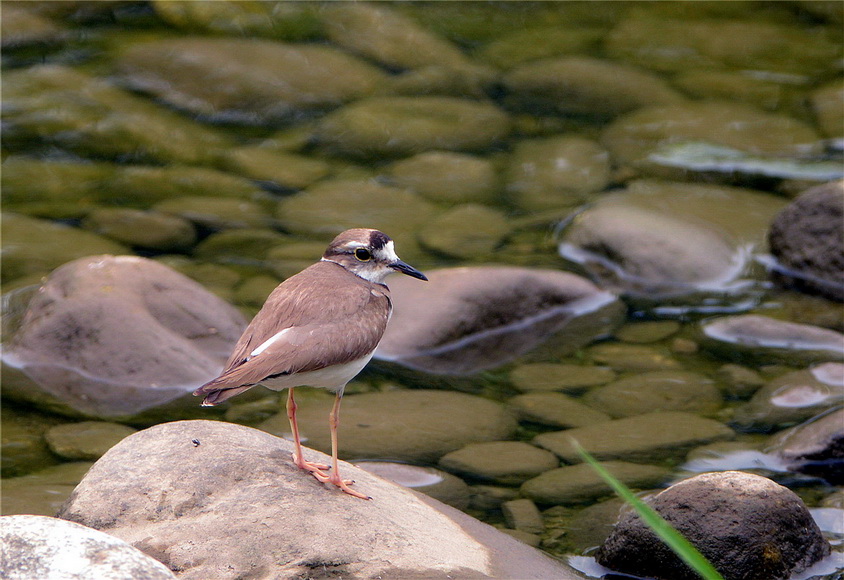 DSC_0096_调整大小.JPG