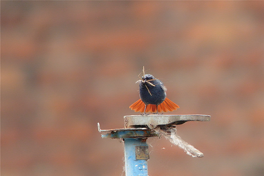 DSC_9966_调整大小.JPG