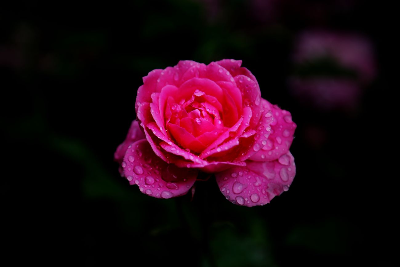 IMG_0112_副本.jpg