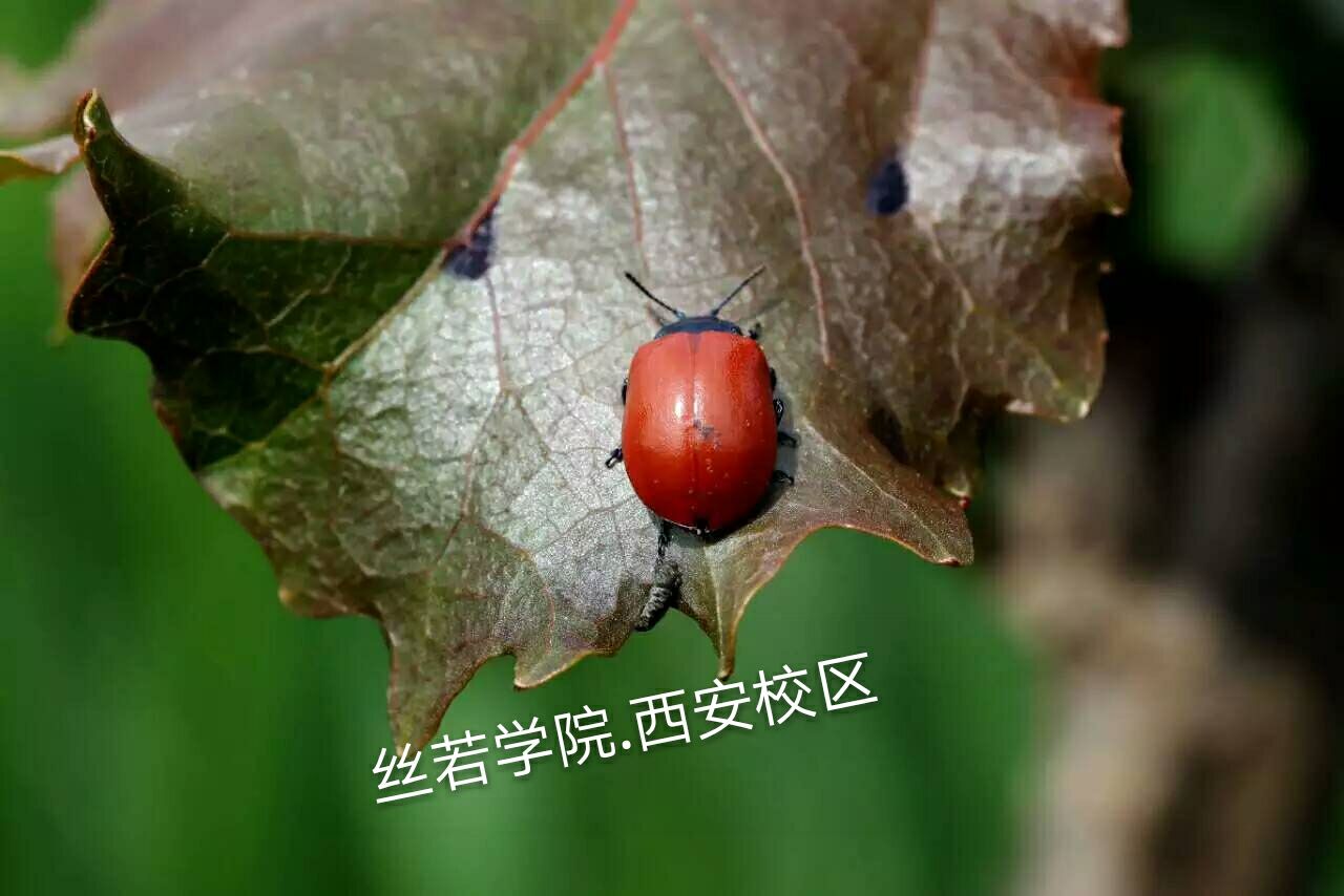 47CD32A7888D2226CBC26D8DBEDE3CBF.jpg
