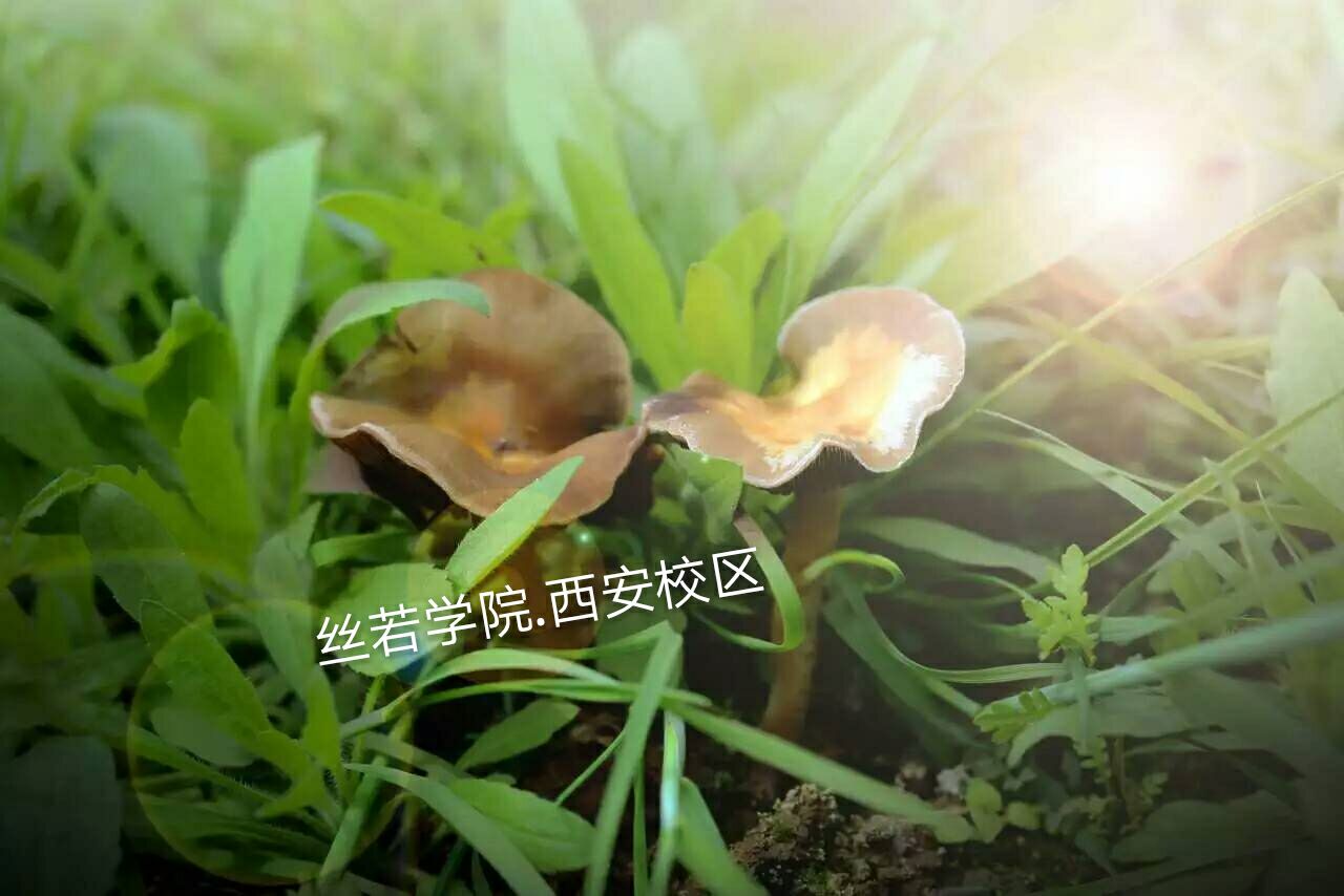 1347DDBAC762A5605E6EEE12A8FB3F3E.jpg