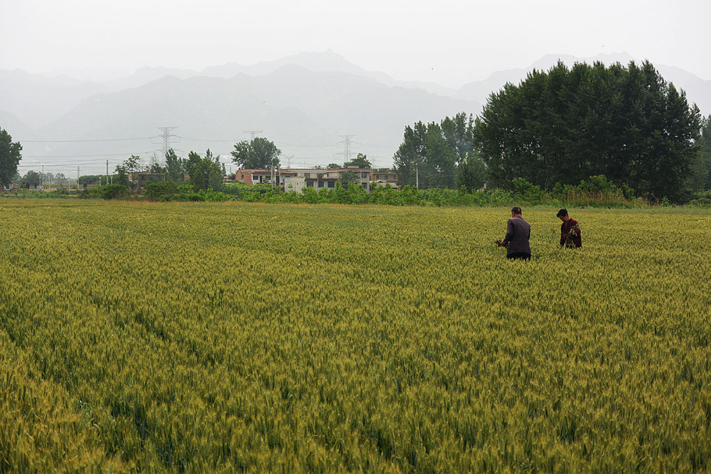 DSC_0156副本.jpg