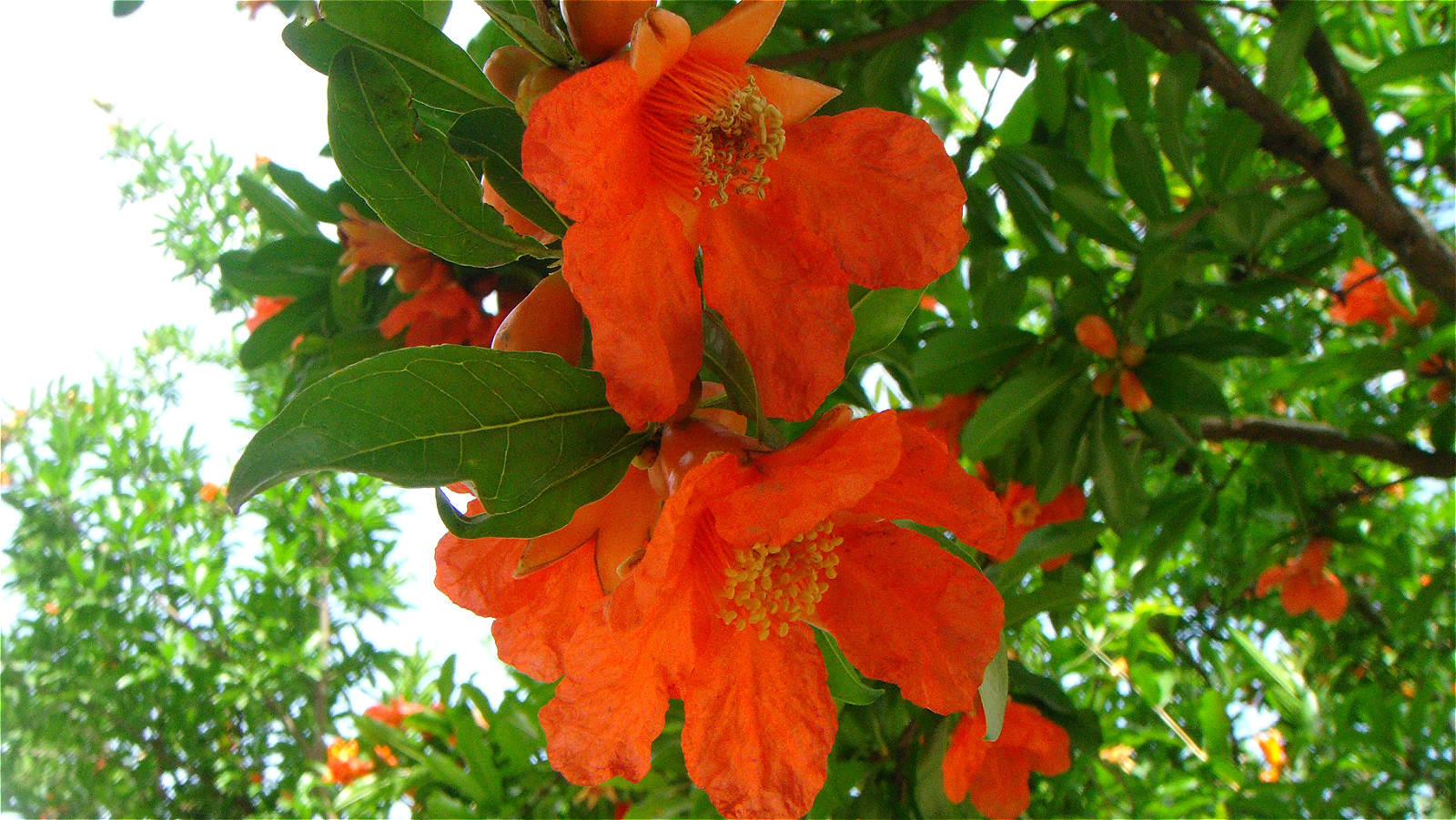 DSC02082_meitu_70.jpg