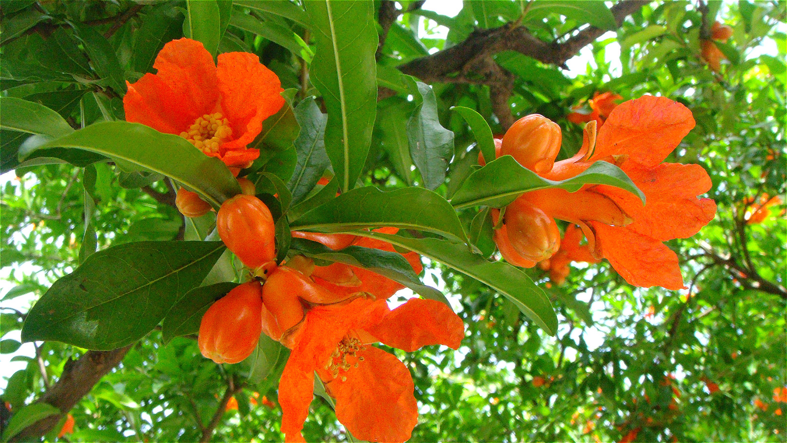 DSC02083_meitu_71.jpg