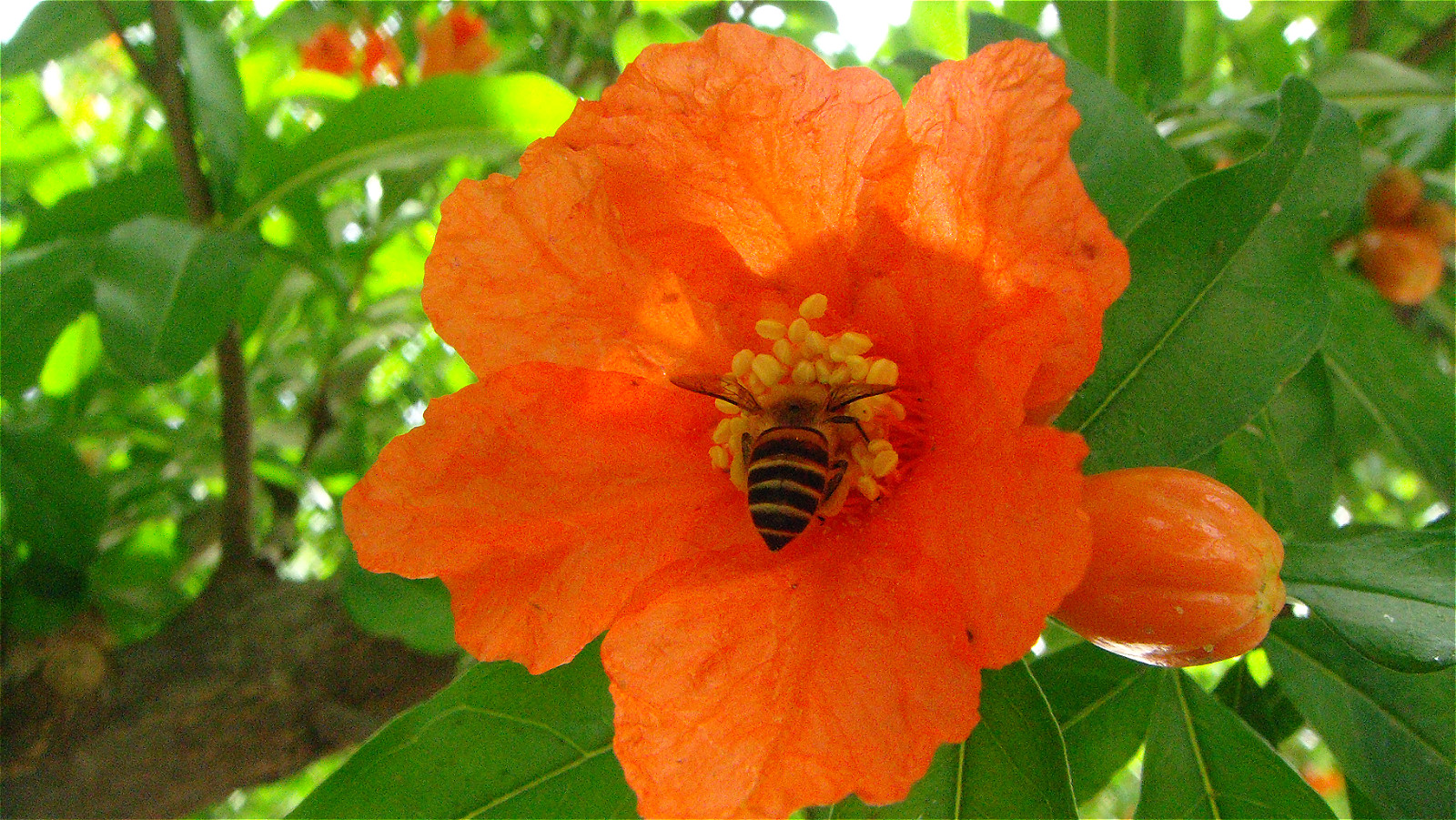 DSC02084_meitu_72.jpg