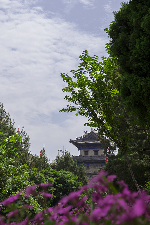 LIU_4834副本.jpg2.jpg