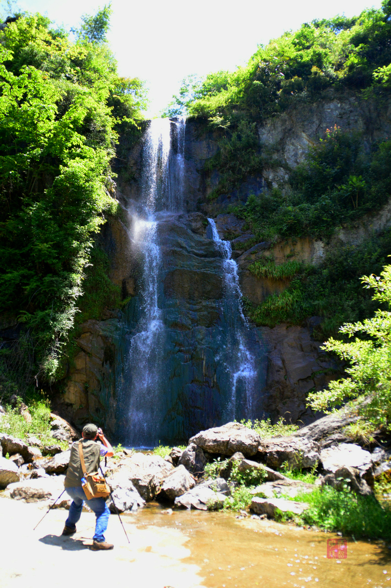 DSC_9602_副本.JPG