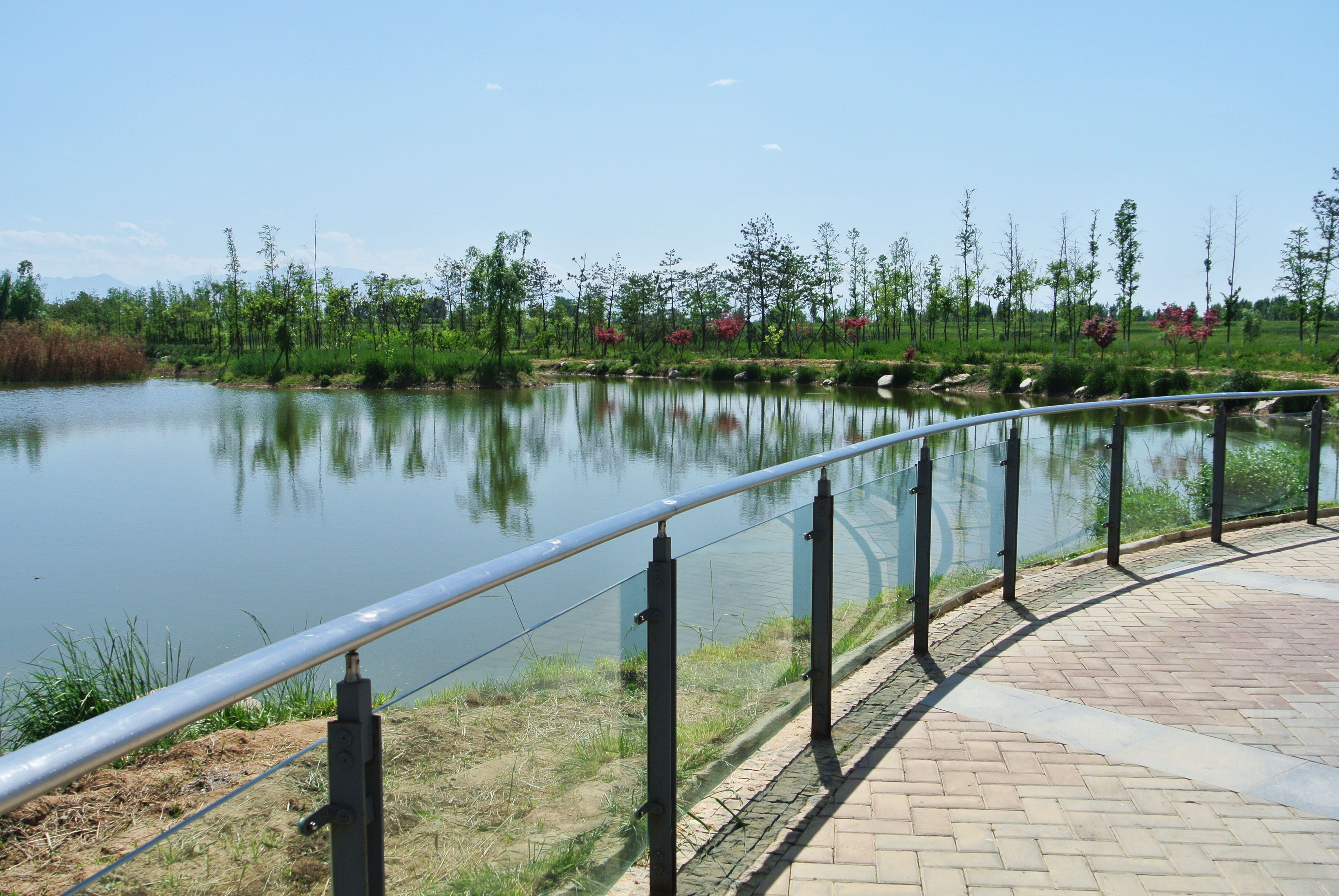 DSC_7331副本.jpg