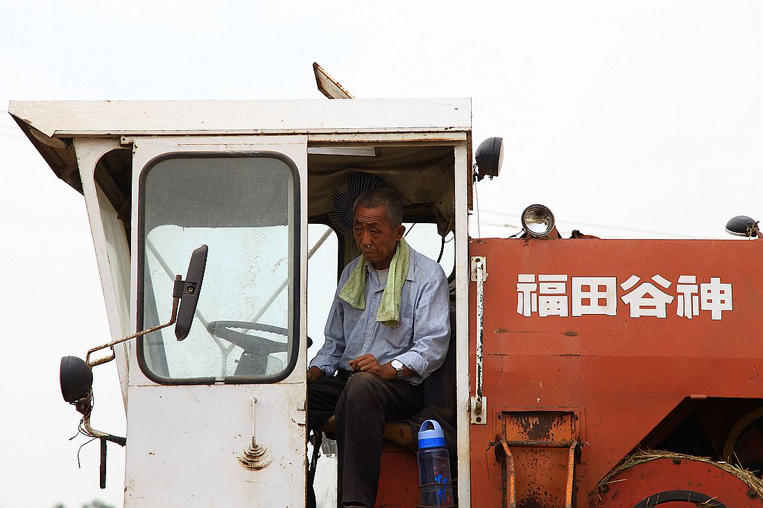 麦收、冀鲁桥 101_副本.jpg