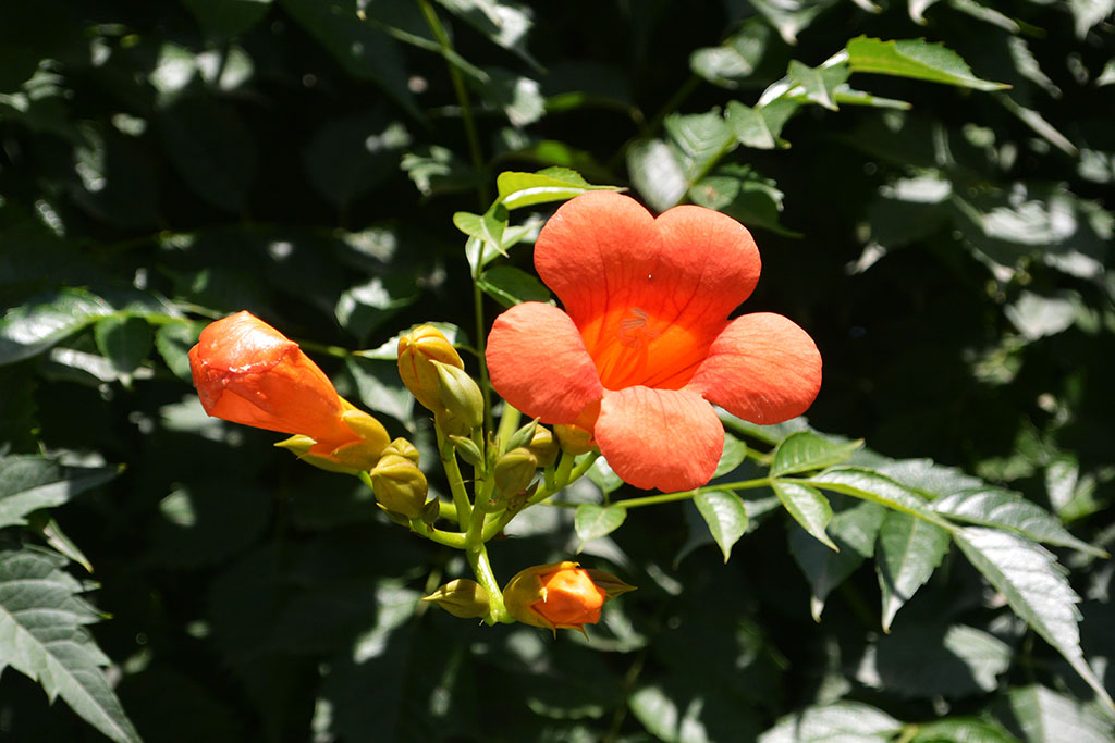 DSC_0800副本.jpg