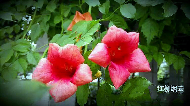 psb (5)_meitu_5.jpg