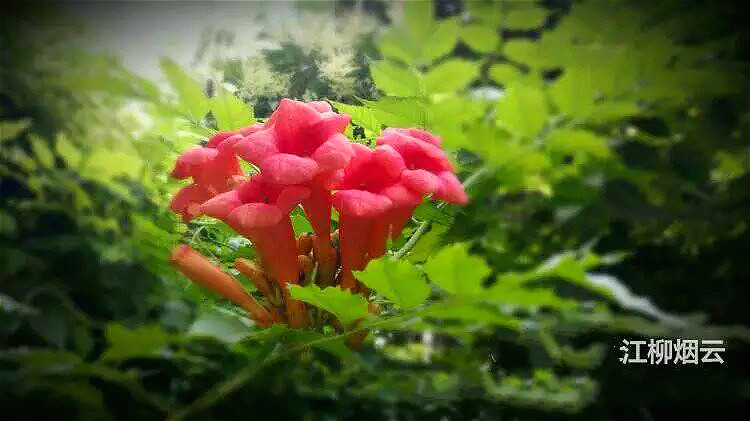 psb (26)_meitu_27.jpg