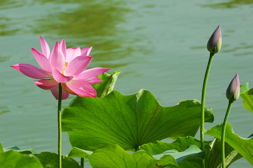 DSC_0915副本.jpg