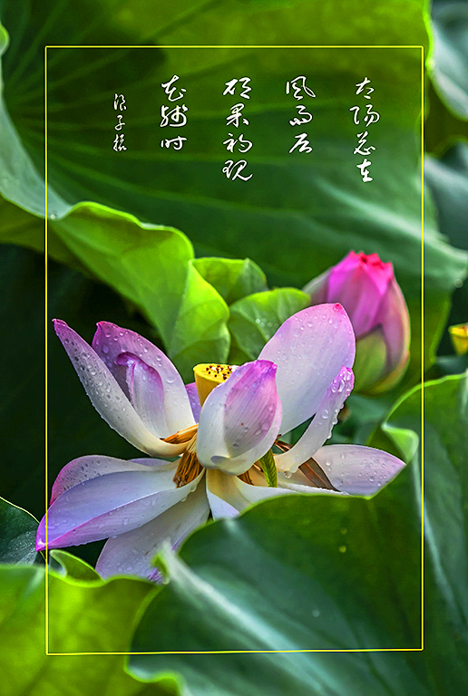 LIU_7507副本.jpg2.jpg