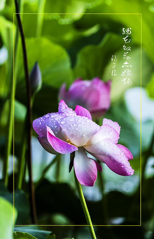 LIU_7585副本.jpg2.jpg