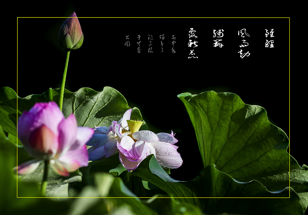 LIU_7630副本.jpg2.jpg