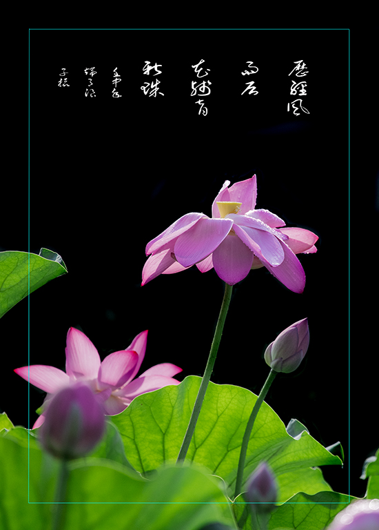 LIU_7699副本.jpg2.jpg