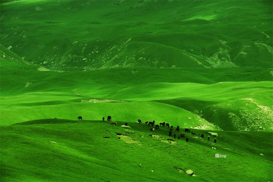 _DSC5067_看图王.jpg