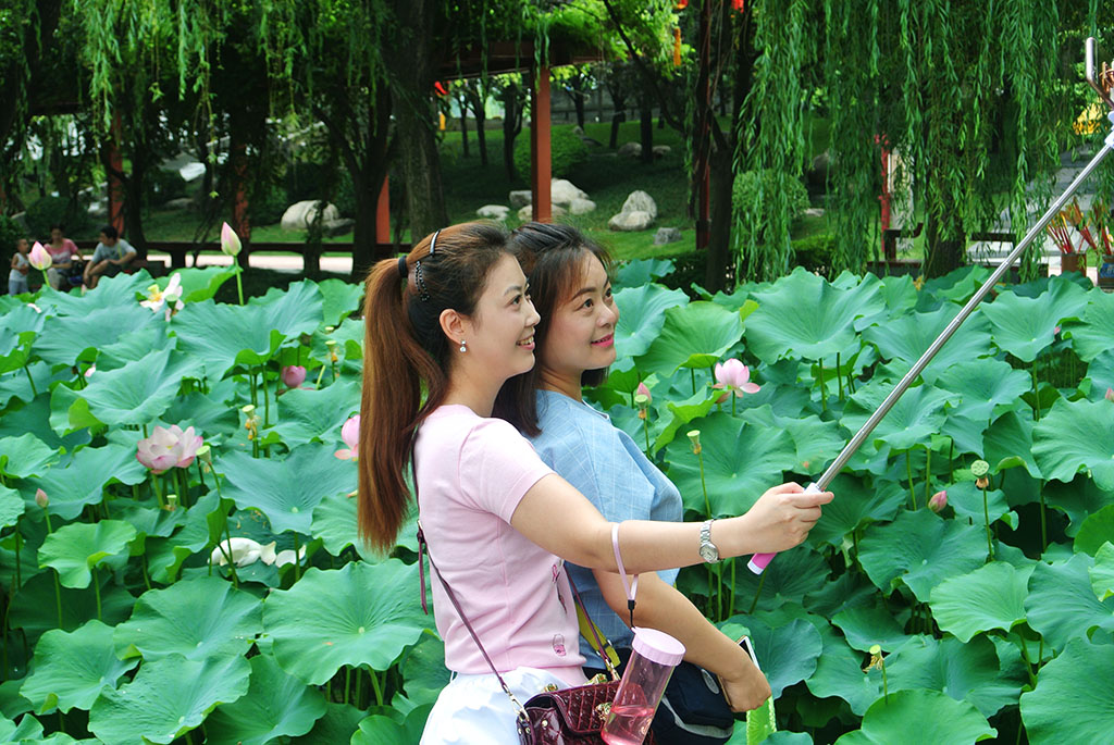 DSC_7976副本.jpg