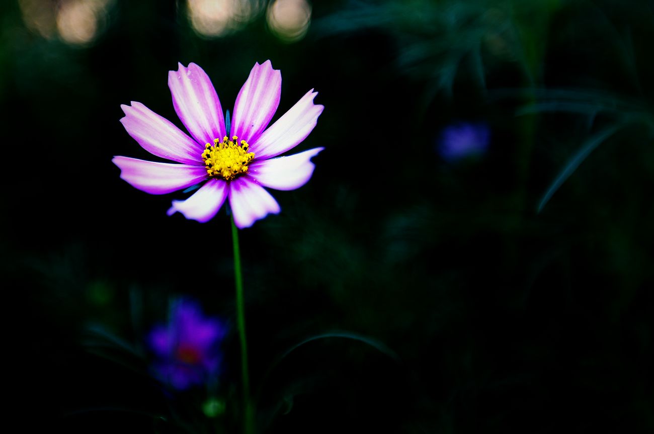 IMG_4631_副本.jpg