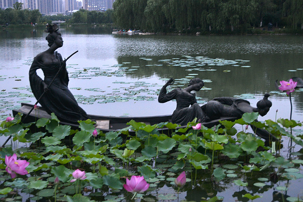 荷花 (26).jpg