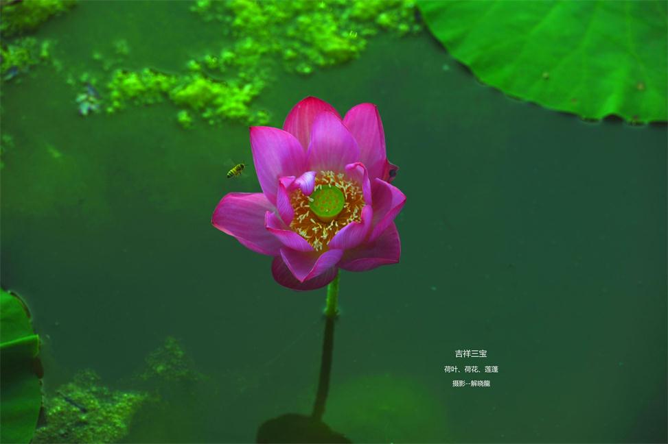 _DSC5716_看图王.jpg