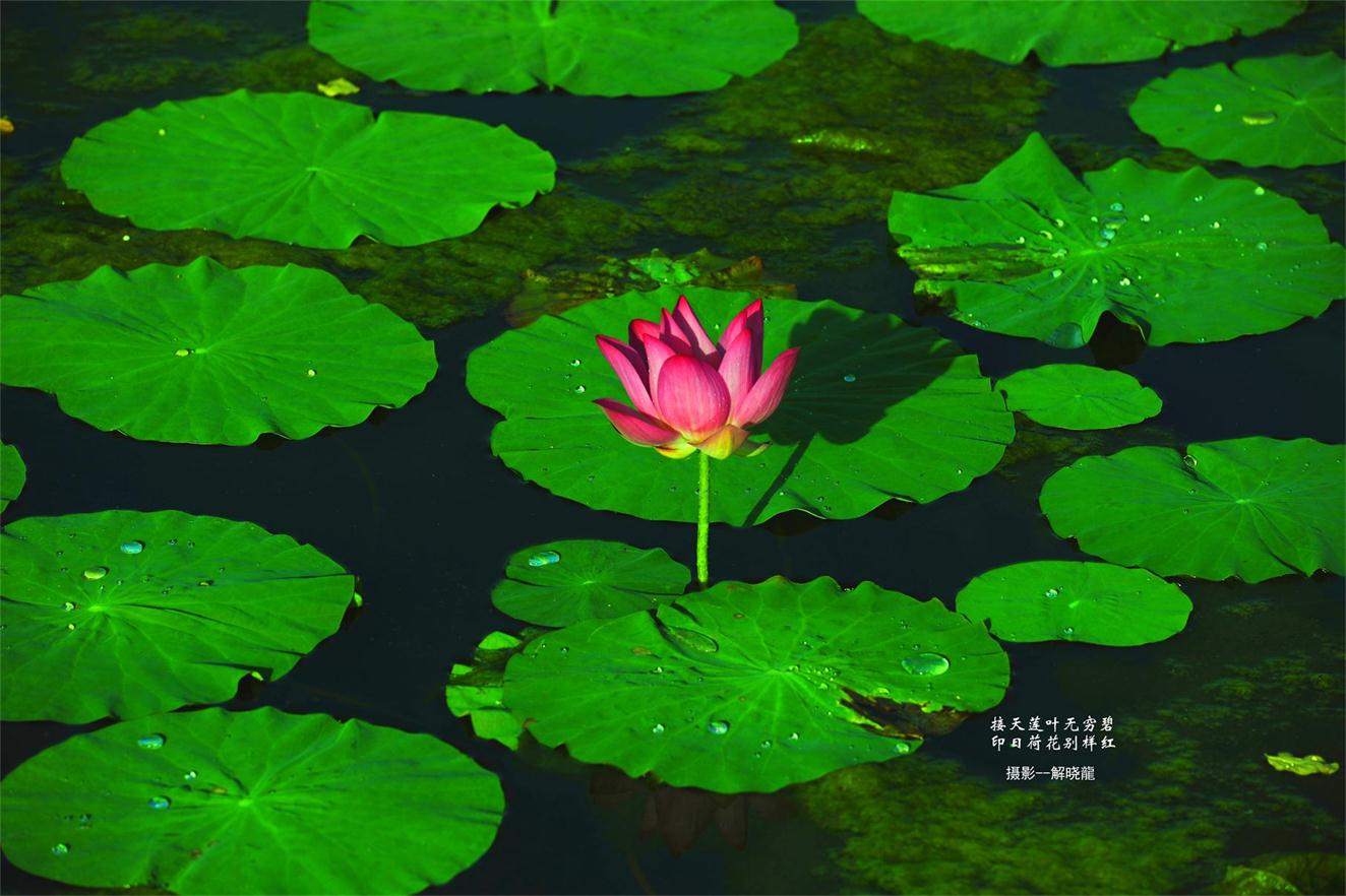 _DSC5736_看图王.jpg