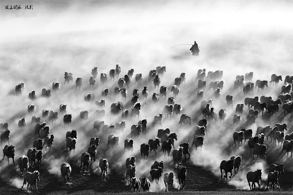 “_T2Y6949”为智能对象-1x.jpg