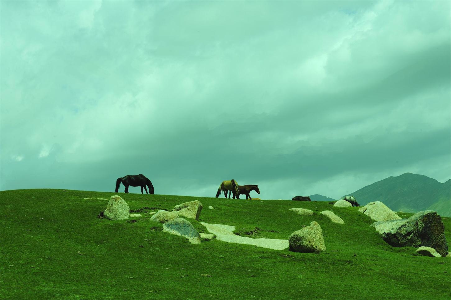 _DSC4688_看图王.jpg