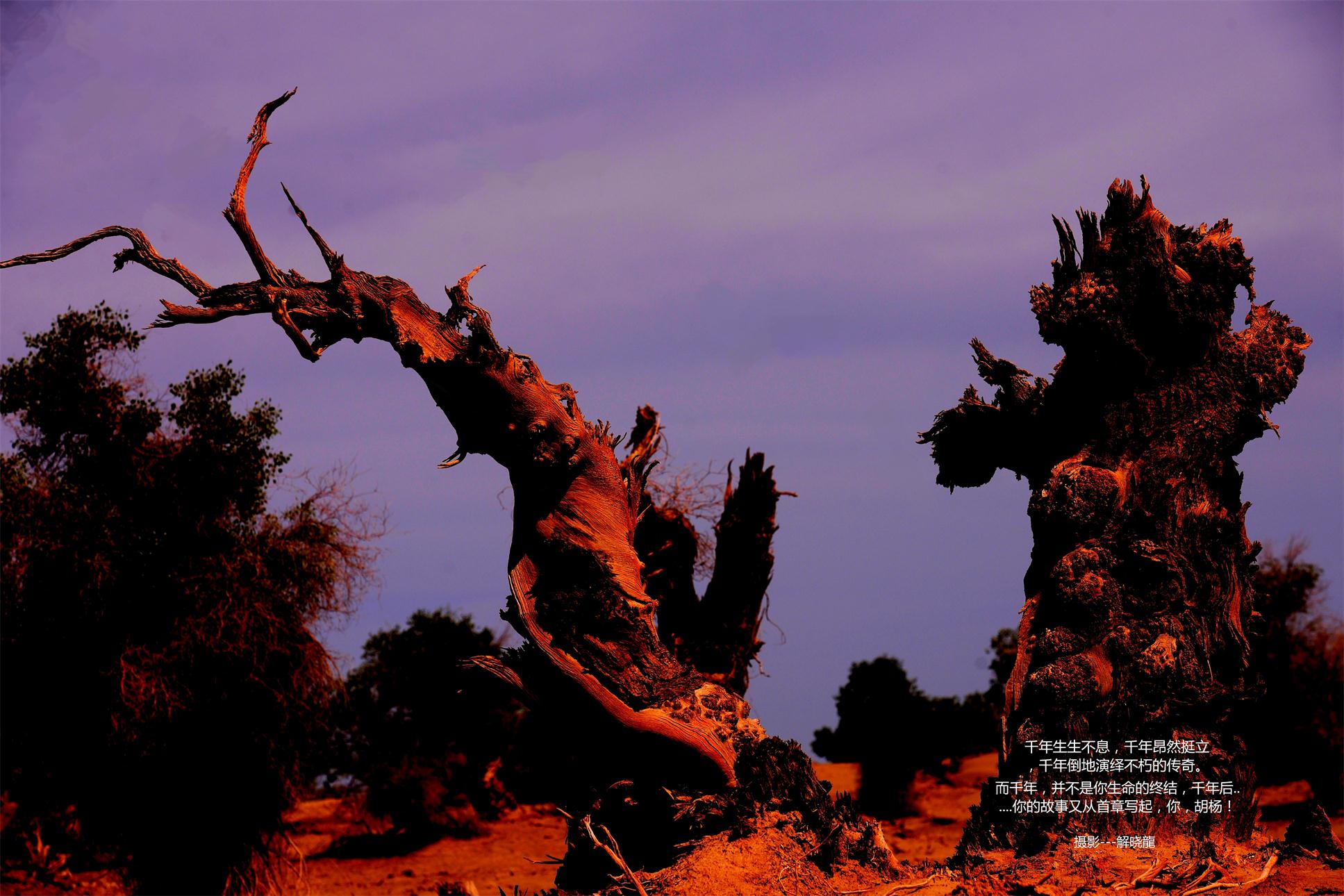_DSC6780_看图王.jpg