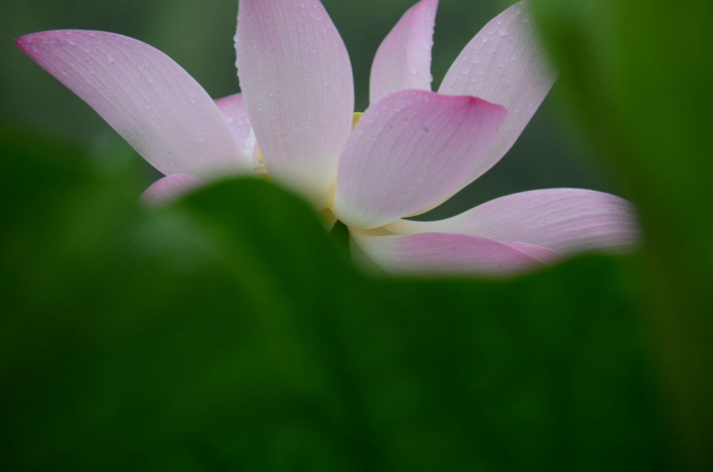 DSC_5213.JPG