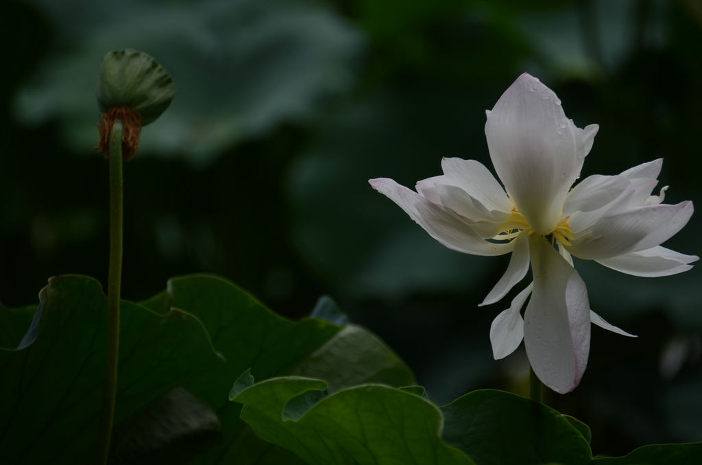 DSC_5164.JPG