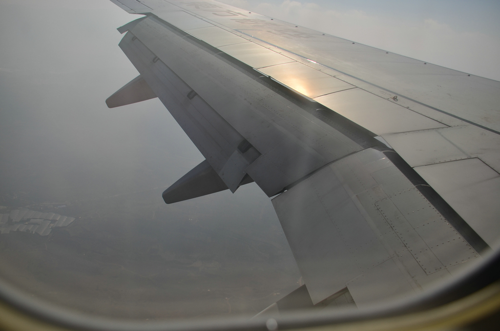 DSC_1226.JPG