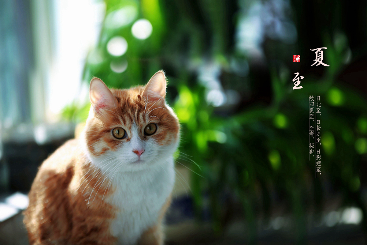 IMG_4638_副本.jpg