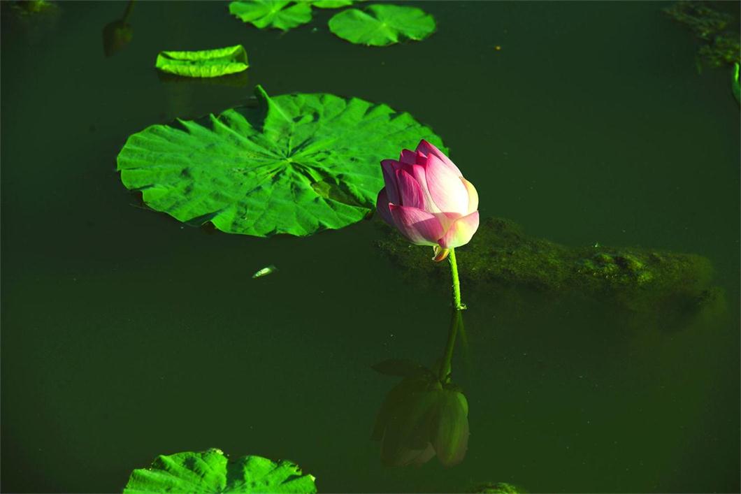 _DSC5666_看图王.jpg