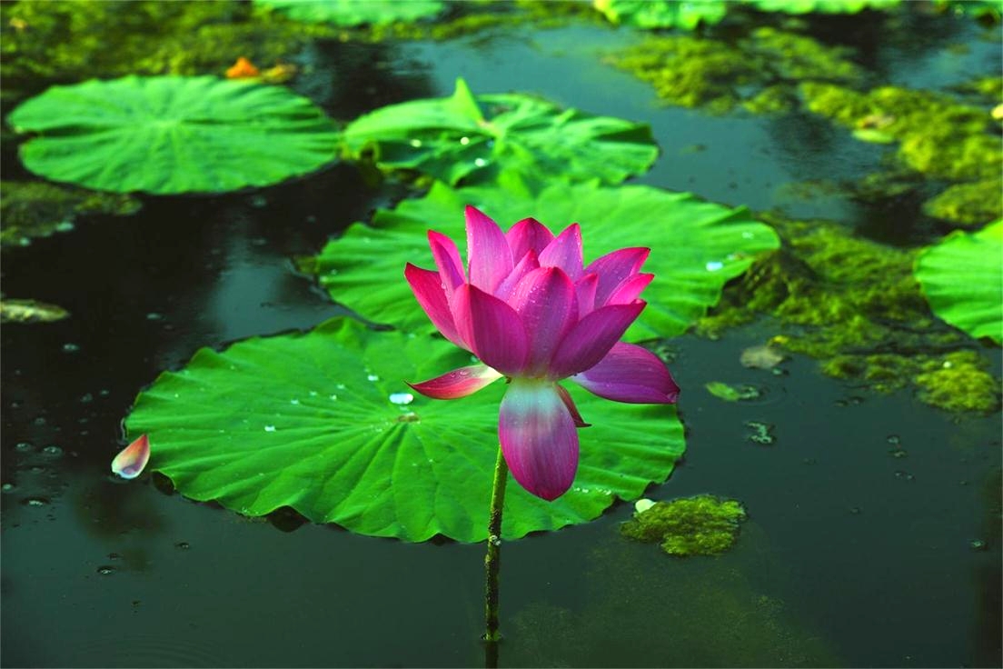 _DSC5620_看图王.jpg