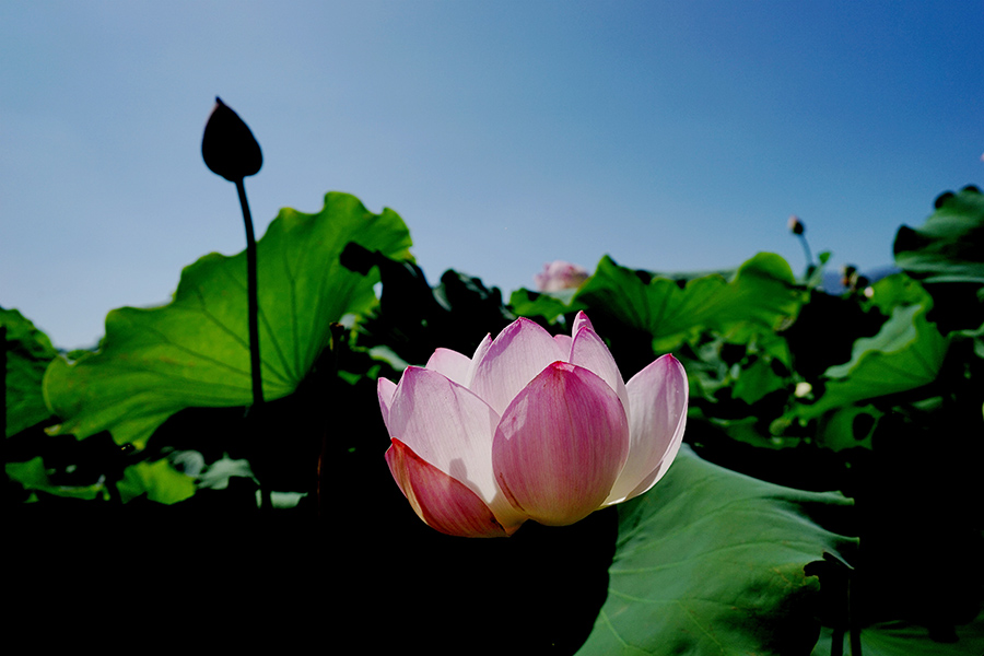 DSC03840_副本压.jpg