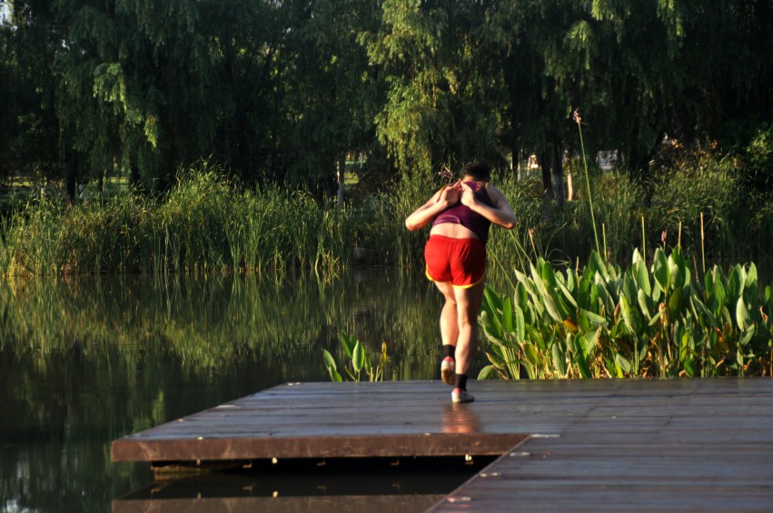 DSC_0013_conew1.jpg