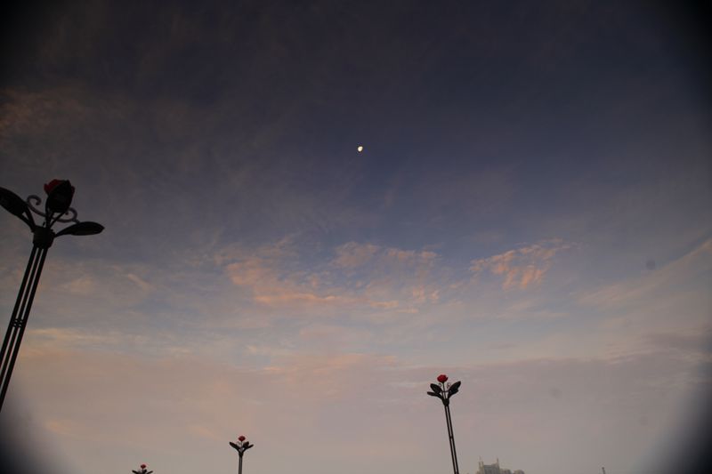 _MG_4966_副本.jpg