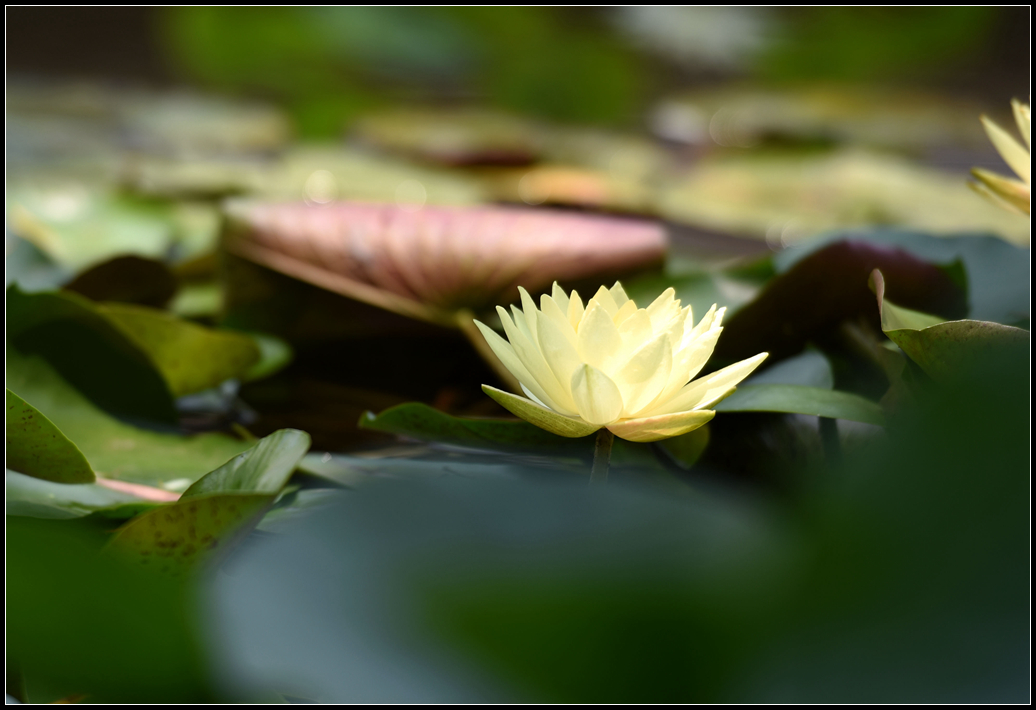 DSC_1001_副本.jpg