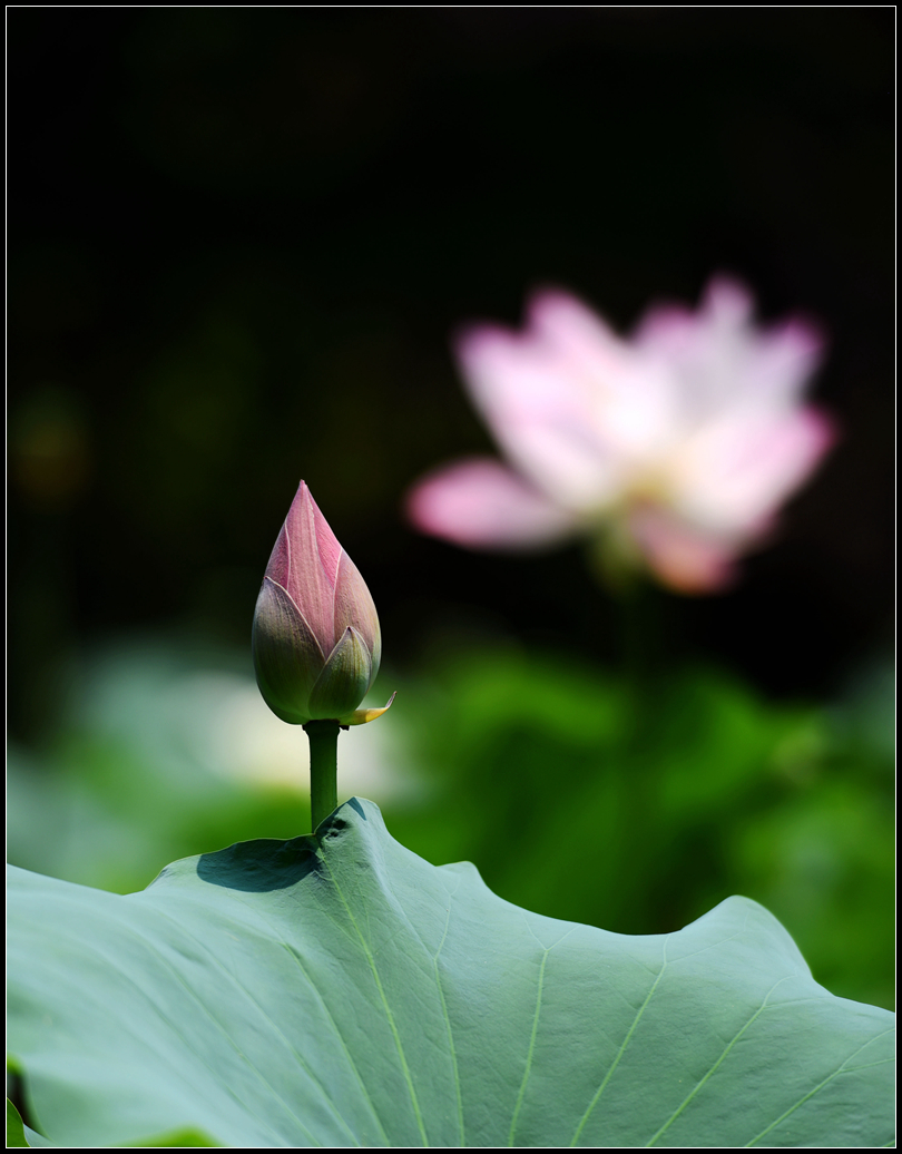 DSC_1047_副本.jpg