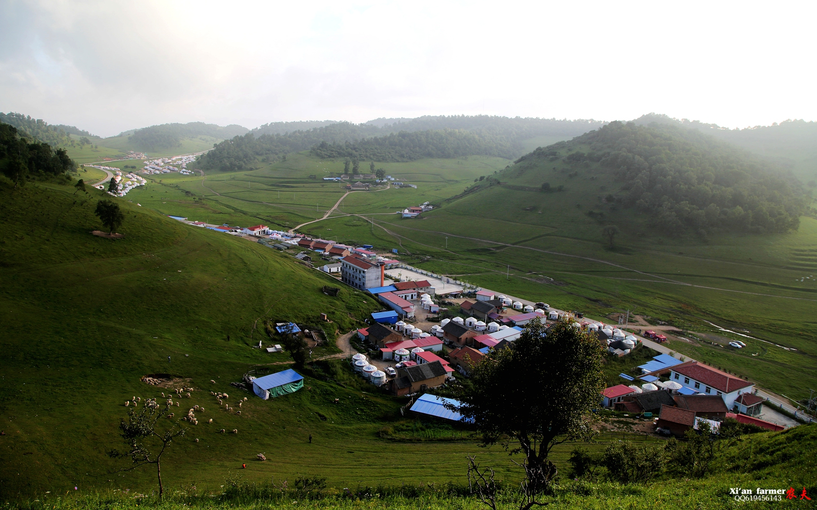 5D3A0606_副本.jpg